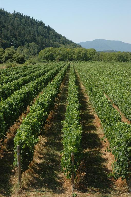 Agriturismo Casteldelpiano Licciana Nardi ภายนอก รูปภาพ
